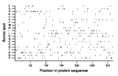 amino acid map