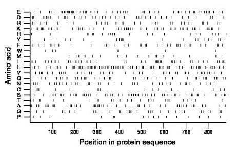 amino acid map