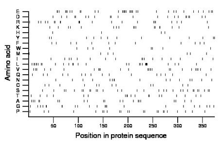 amino acid map