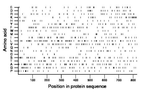 amino acid map