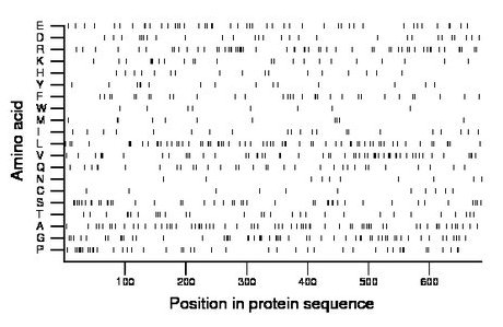 amino acid map