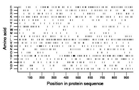 amino acid map