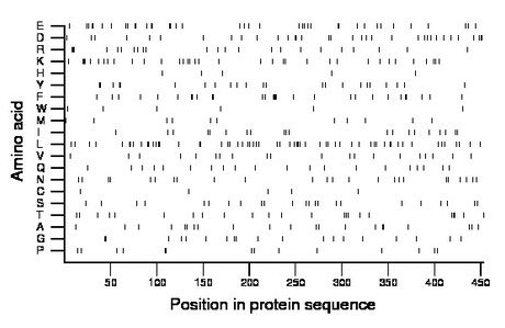 amino acid map