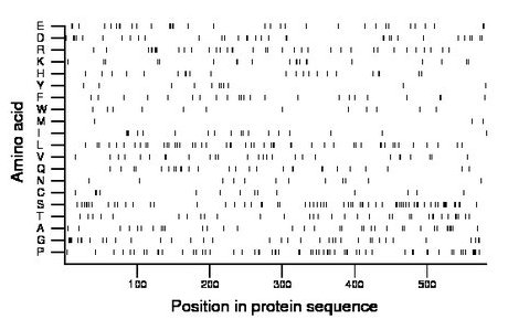 amino acid map