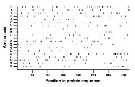 amino acid map