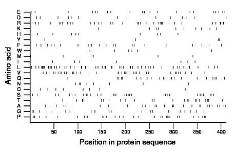 amino acid map