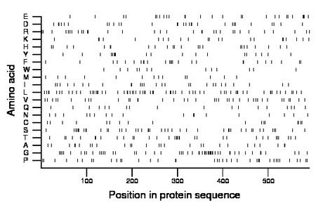 amino acid map