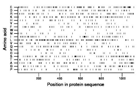 amino acid map