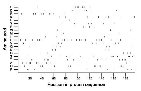 amino acid map