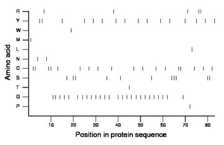 amino acid map