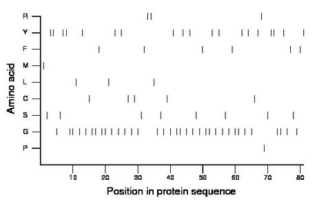 amino acid map