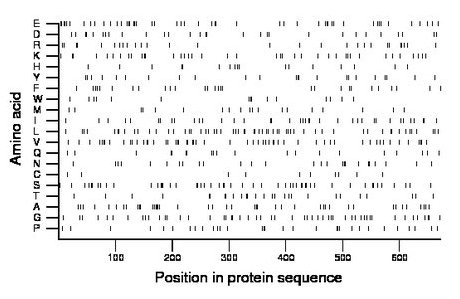 amino acid map