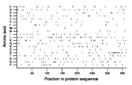 amino acid map