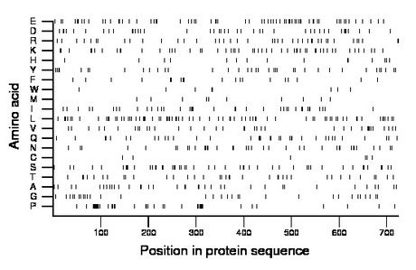 amino acid map