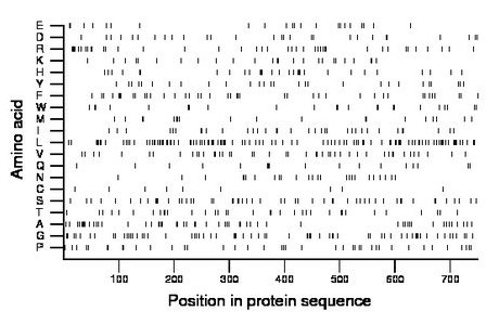 amino acid map