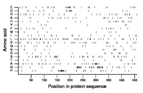 amino acid map