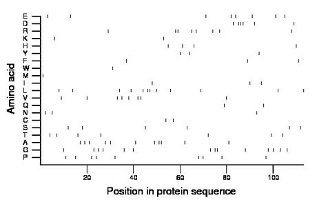 amino acid map