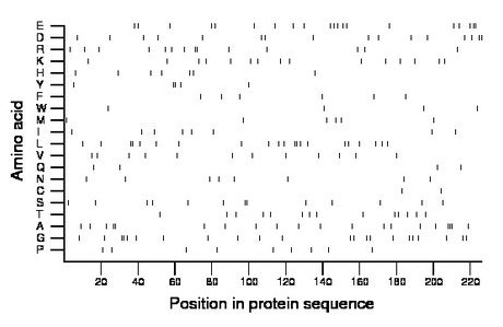 amino acid map