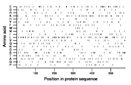 amino acid map