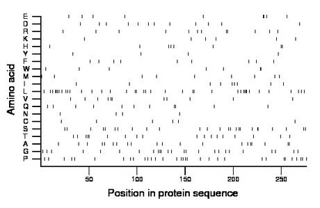 amino acid map