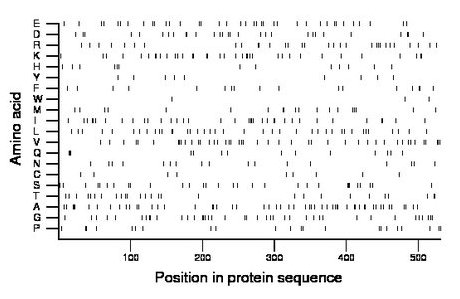 amino acid map