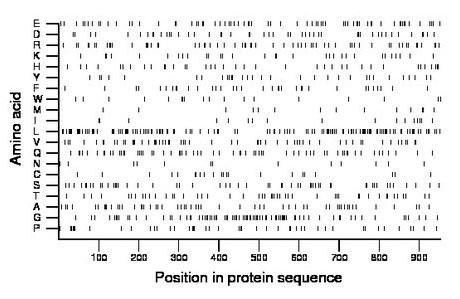 amino acid map