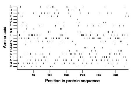 amino acid map