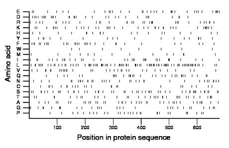 amino acid map