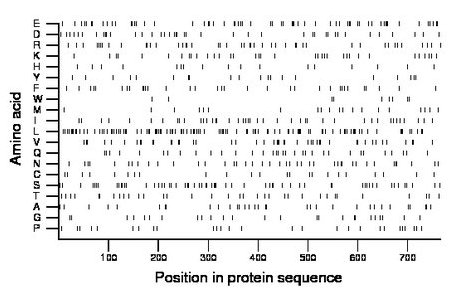 amino acid map