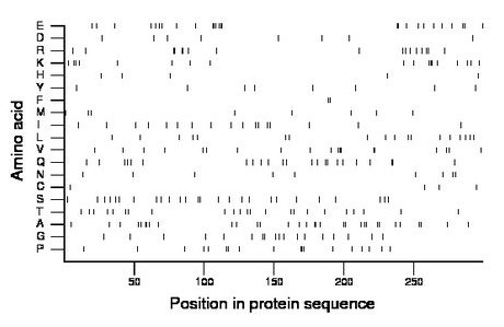 amino acid map