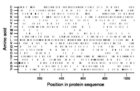 amino acid map