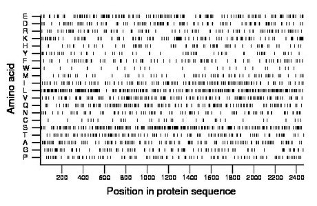 amino acid map