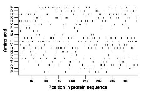 amino acid map