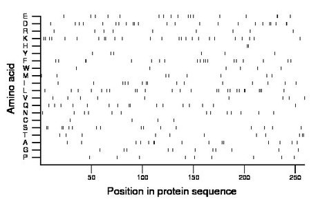 amino acid map