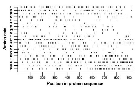 amino acid map