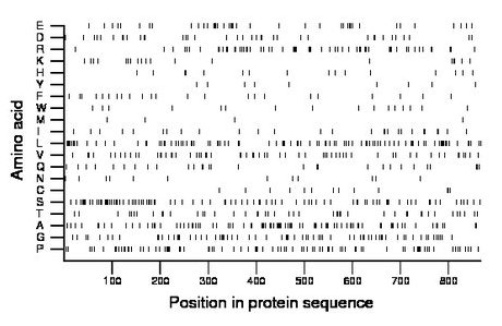 amino acid map