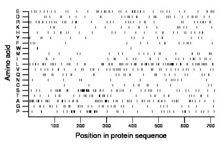 amino acid map