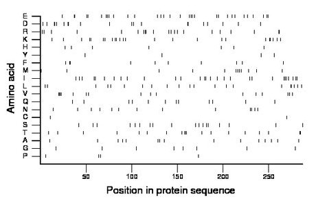 amino acid map