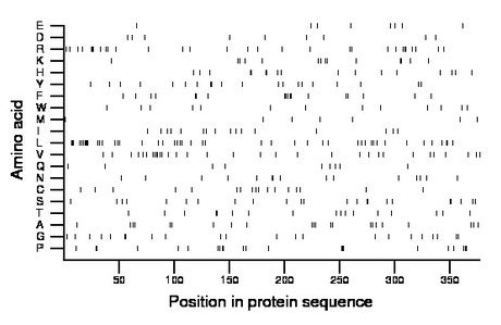 amino acid map