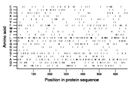 amino acid map