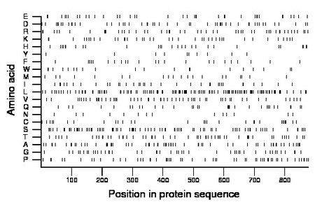 amino acid map