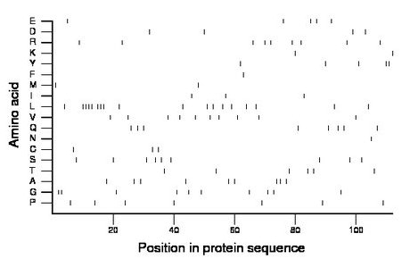 amino acid map