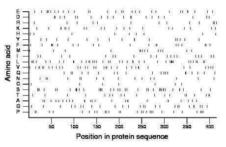 amino acid map