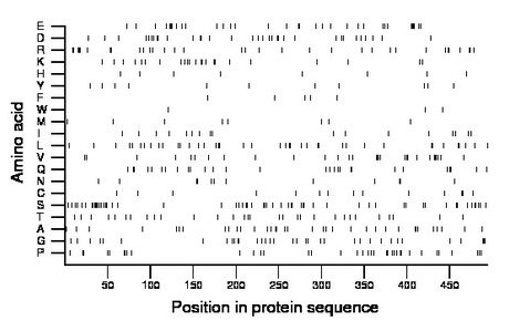 amino acid map