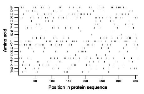 amino acid map