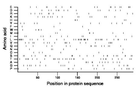 amino acid map