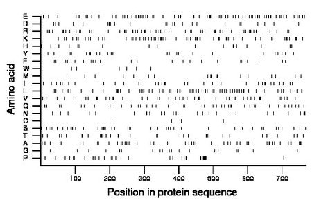 amino acid map