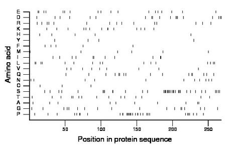 amino acid map