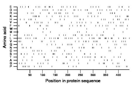 amino acid map