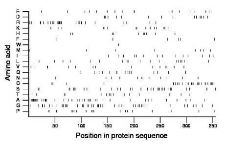 amino acid map